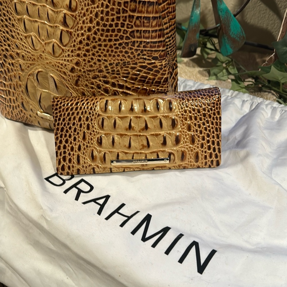 Brahmin wallet